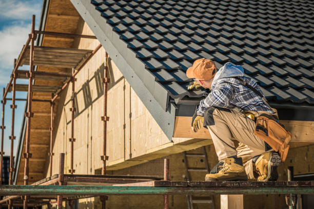 Best Gutter Installation and Repair  in Loxahatchee Groves, FL